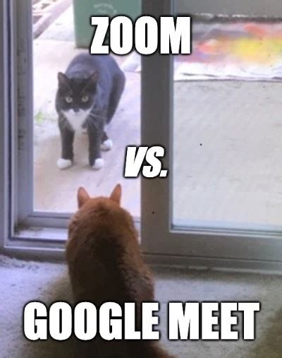 Google Meet vs Zoom: 어떤 것이 비즈니스에 가장 적합할까요? - tl;dv