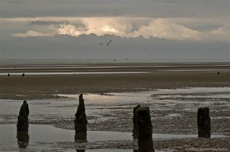 Winchelsea Beach