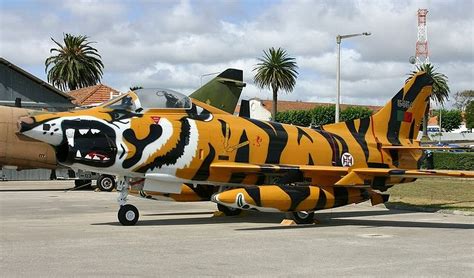 Portuguese Air Force FiatG91, painted in a beautiful NATO Tiger Meet livery | Airplane fighter ...