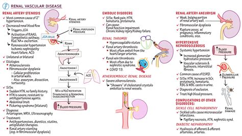 USMLE / COMLEX - Step 2: Renal Vascular Diseases | Draw It to Know It