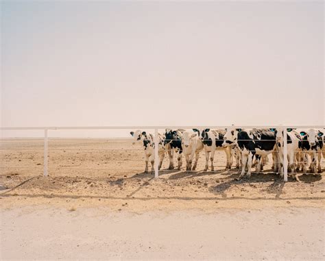 Photographing the Impact of California’s Water Crisis - The New York Times