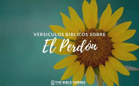 33 Versículos de la Biblia sobre el Perdón - Textos Bíblicos