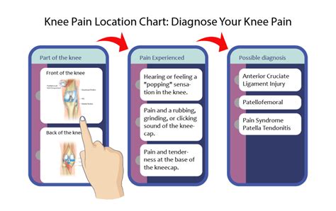 Knee Pain Location Chart: Diagnose Your Knee Pain