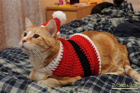 an orange cat wearing a red and white knitted sweater on top of a bed