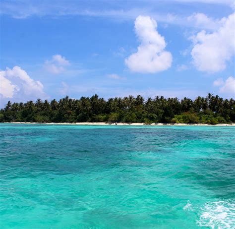 Marine Conservation Family Experience | Volunteer in the Maldives 2025