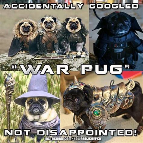 War Pug | Pugs, Dogs, War