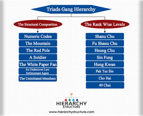 Triads Gang Hierarchy | Hierarchystructure.com