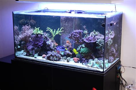 Jayfish aquarium computer build