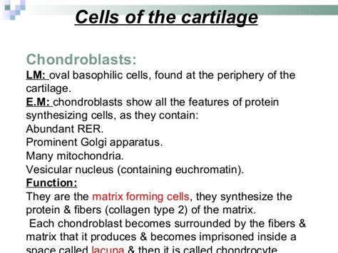 Cartilage lecture