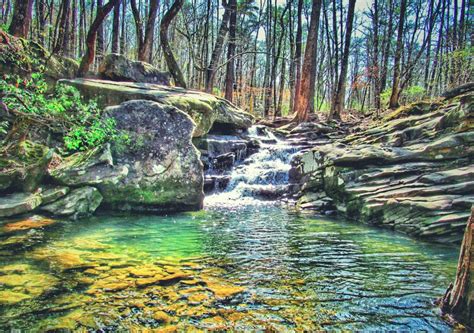 9 Best Hiking Trails In Alabama For Everyone's Outdoor Bucket List