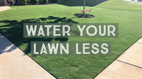 Help Your Lawn during Drought and Reduce Watering - YouTube