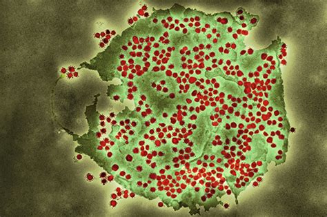 What do we know about the new COVID-19 variants? – UK Health Security ...