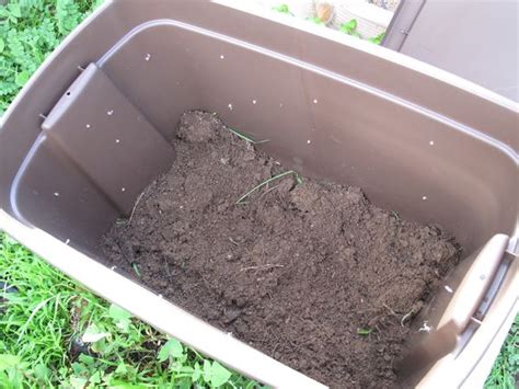 Kitchen Ranch: DIY Vermicompost Bin