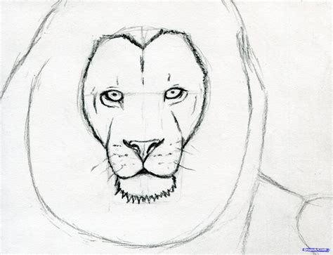 Lion Pencil Drawing Step By Step at Drawing Tutorials