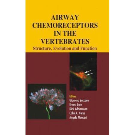 Airway Chemoreceptors in the Vertebrates: Structure, Evolution and Function | Walmart Canada