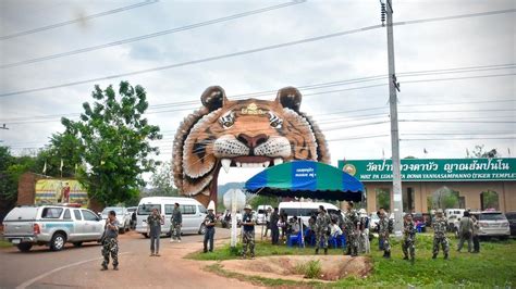 Thailand Tiger Temple: More than half have died since rescue - BBC News