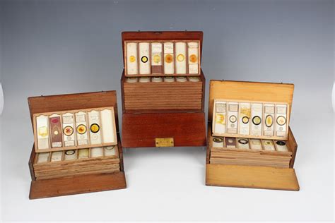 A collection of one hundred and thirty-two microscope specimen slides, late Victorian and mostly lat