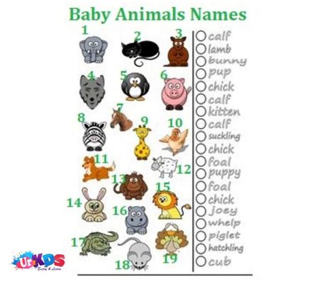 Baby Animals Names Free Printable | Baby animal names, Baby animals, Animals for kids