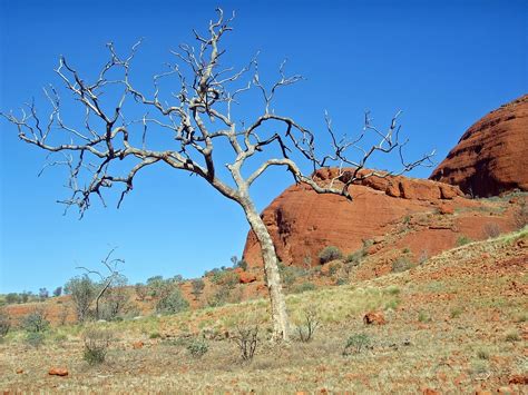 Outback Australia Landscape - Free photo on Pixabay - Pixabay