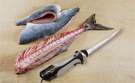 Best Electric Fish Fillet Knife (June. 2024) – Reviews, Guide & Top Picks