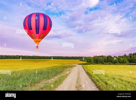 Field with rye and road at sunset time Stock Photo - Alamy