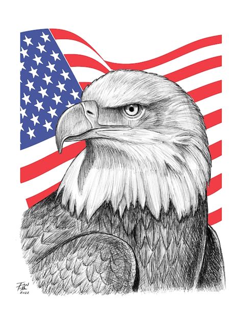 Bald Eagle Drawing America United States Patriotism Fine - Etsy