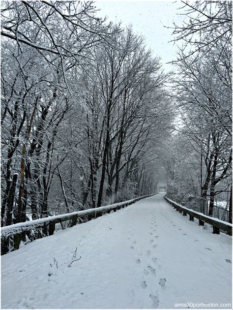 Primera Tormenta de Nieve del 2016