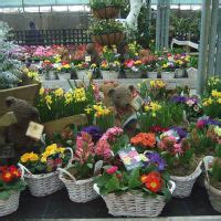 Grovewell Garden Centres, Tenterden | Garden Centres - Yell