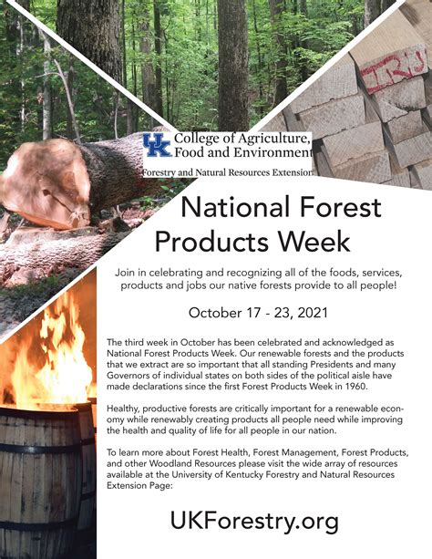 Forest Products Week: Scavenger Hunt | Forestry and Natural Resources