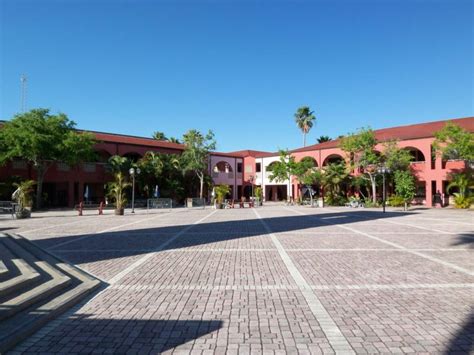 Estero High School Gets Snapped!