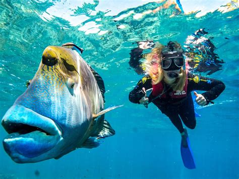 Cairns Great Barrier Reef Tours Non Swimmers | Besttravels.org