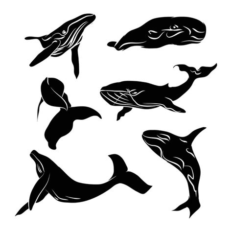 Whale set. Whale Vector. Whale illustration. Whale face. Whale icon ...