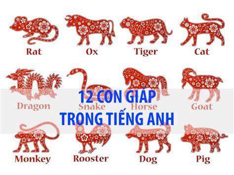 12 con giáp trong tiếng Anh