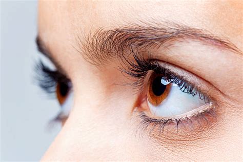 Human Eye Close Up Eyeball Side View Pictures, Images and Stock Photos - iStock