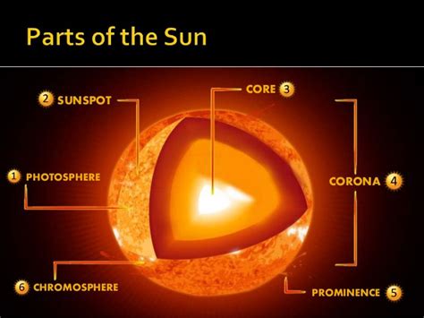 Parts of the SUN and definitions Diagram | Quizlet