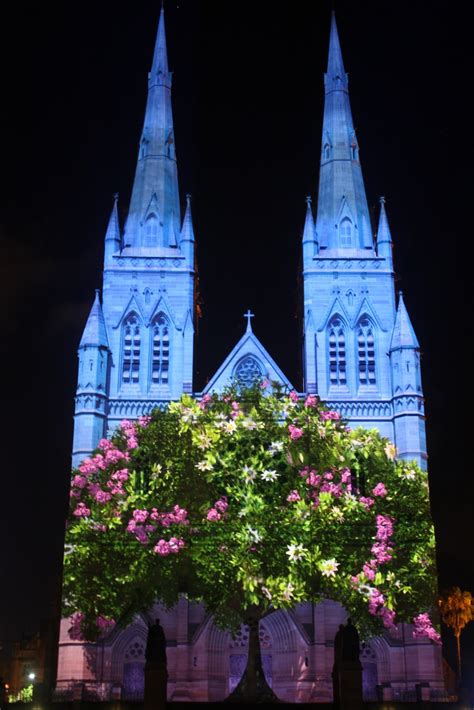 Sydney - City and Suburbs: St Mary's Cathedral, Lights of Christmas