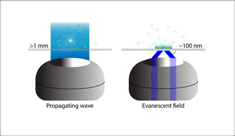 Total Internal Reflection Fluorescence (TIRF) Microscopy