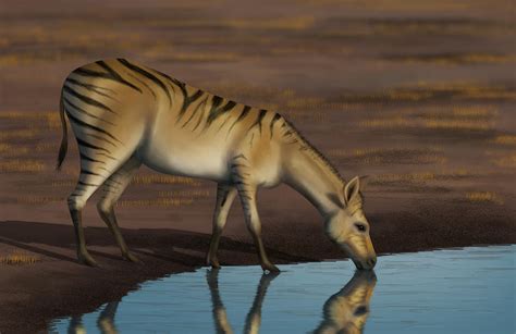 Mesohippus by evolve2pro on DeviantArt