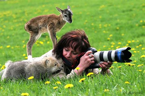 20 Pictures Showing That Nature Photographers Have The Best Jobs Ever | DeMilked