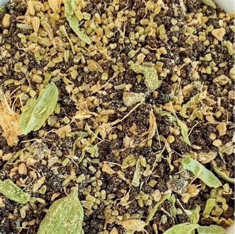 Bombay Cutting Masala Chai at Rs 850/kg | Masala Chai in Kota | ID: 2850920861733