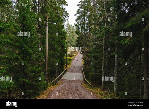 Hiking trail in Nuuksio National Park, Finland Stock Photo - Alamy