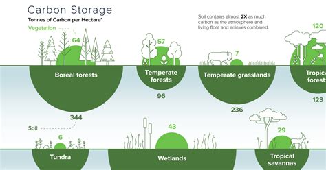 How Iceland is Capturing and Storing Carbon FOREVER!