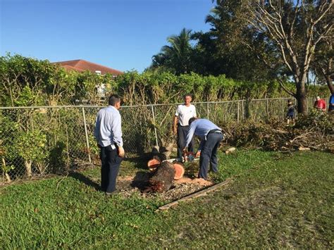 Belen Jesuit community unites to clean up campus after Irma | Featured#