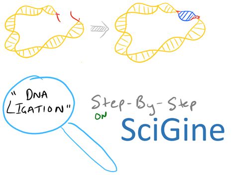 Ligate Sticky Ends via DNA Ligation - SciGine