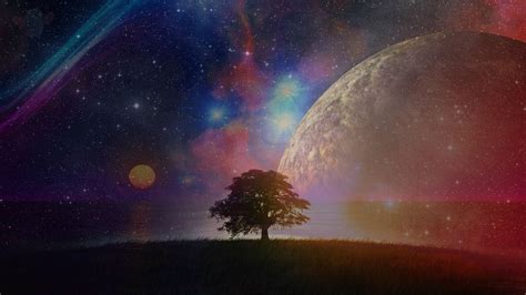 Tree and galaxy illustration, nebula HD wallpaper | Wallpaper Flare