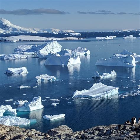 Antarctica icebergs by VantagePoint Wall Art