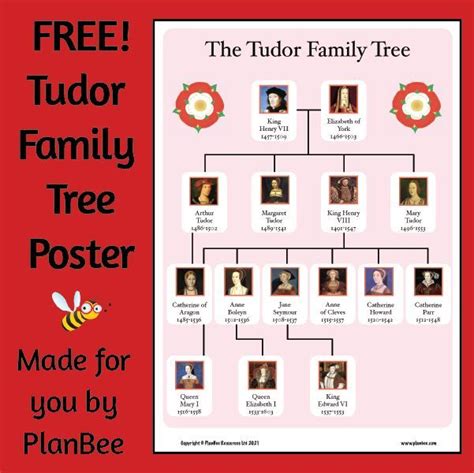 Tudor Family Tree Poster | Family tree poster, Family tree, The tudor family