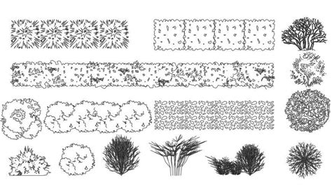 CAd drawings details of top elevation of bushes - Cadbull