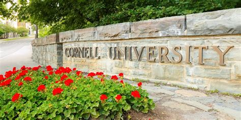 Cornell University | Cybernews