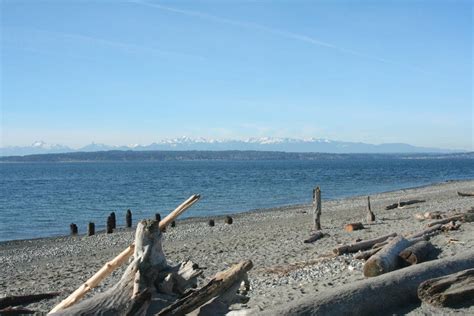 Low-tide Beach Walks at Richmond Beach Saltwater Park | Shoreline, WA Patch